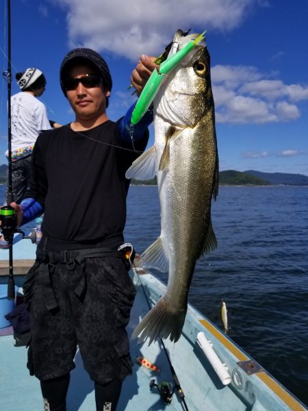 アマテラス 釣果