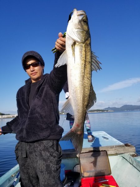 アマテラス 釣果