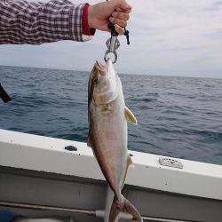 エンペラー 釣果