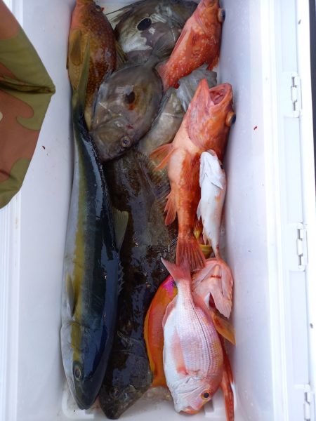 第二龍勢丸 釣果