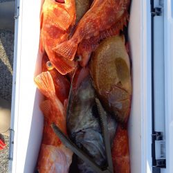 第二龍勢丸 釣果