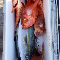 第二龍勢丸 釣果