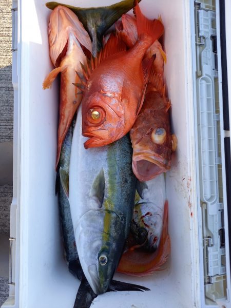 第二龍勢丸 釣果