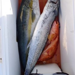 第二龍勢丸 釣果