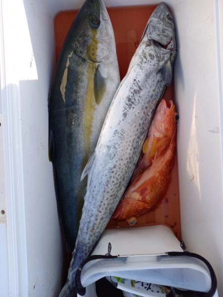 第二龍勢丸 釣果