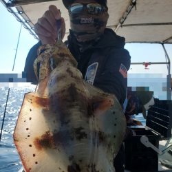 ソルトウォーターガイドフレンズ 釣果