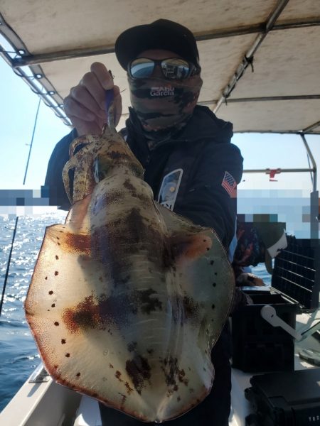 ソルトウォーターガイドフレンズ 釣果