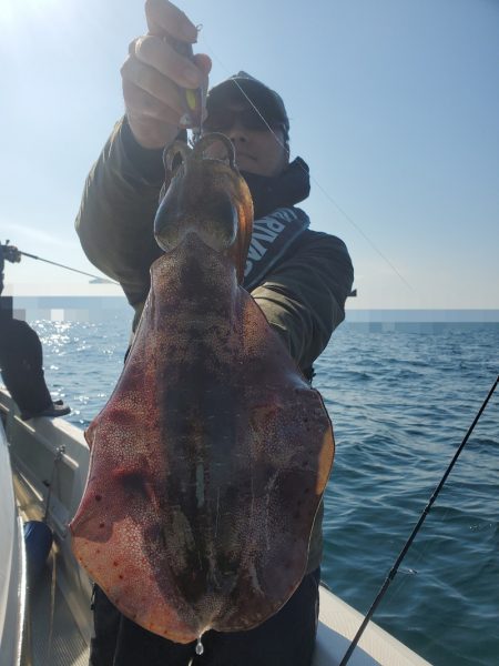 ソルトウォーターガイドフレンズ 釣果