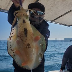 ソルトウォーターガイドフレンズ 釣果