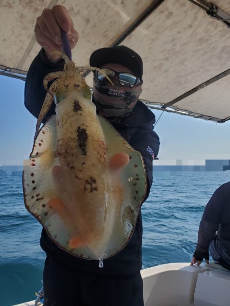 ソルトウォーターガイドフレンズ 釣果