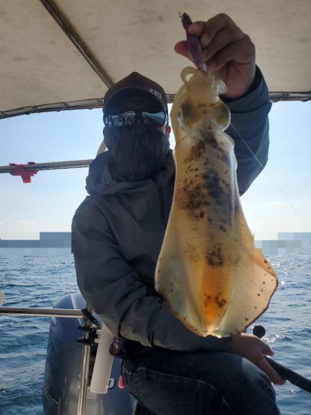 ソルトウォーターガイドフレンズ 釣果