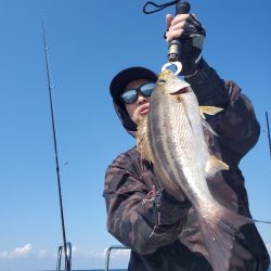 ソルトウォーターガイドフレンズ 釣果