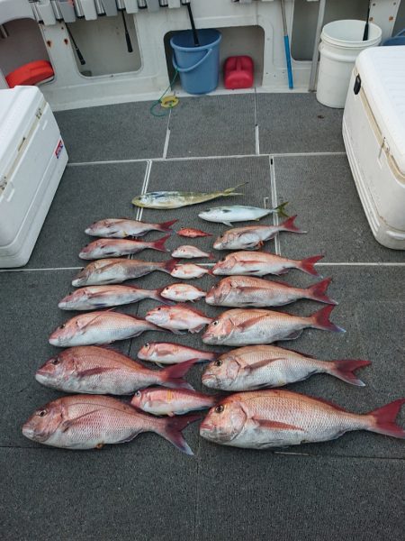 ARCADIAⅡ (アルカディアⅡ) 釣果