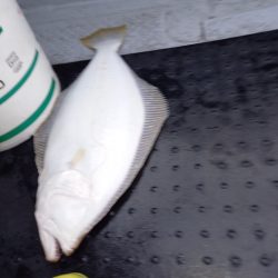 第二龍勢丸 釣果