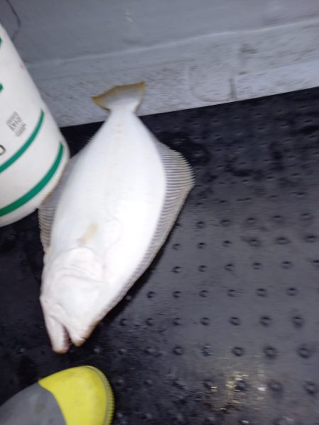 第二龍勢丸 釣果