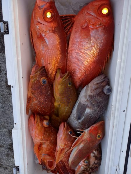 第二龍勢丸 釣果