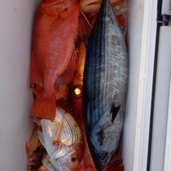 第二龍勢丸 釣果