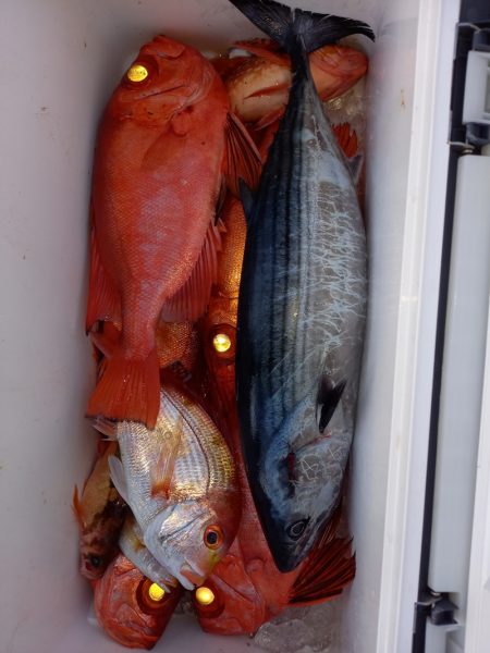 第二龍勢丸 釣果