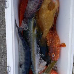 第二龍勢丸 釣果