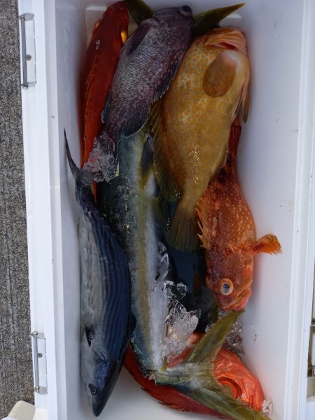 第二龍勢丸 釣果