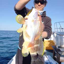 アマテラス 釣果