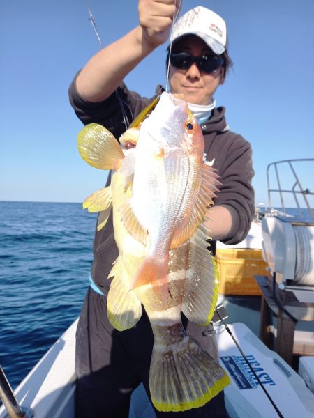 アマテラス 釣果