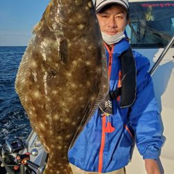 シーライオン 釣果