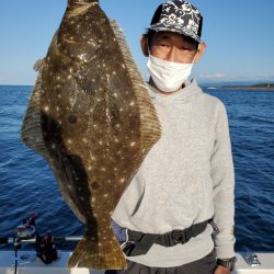 シーライオン 釣果