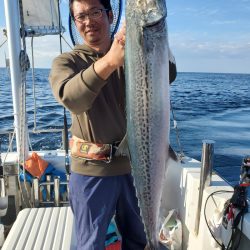 シーライオン 釣果