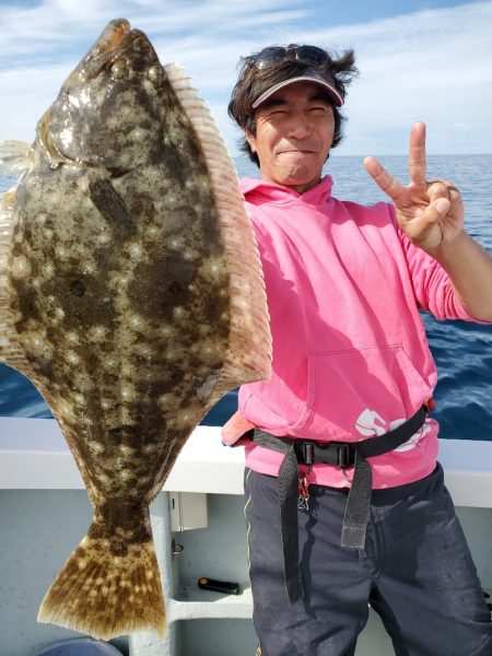 シーライオン 釣果