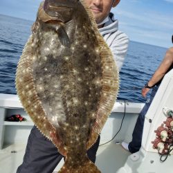 シーライオン 釣果