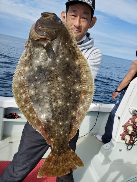 シーライオン 釣果