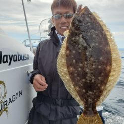 シーライオン 釣果