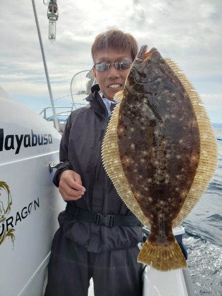 シーライオン 釣果