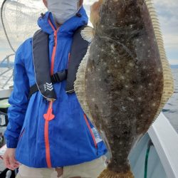 シーライオン 釣果