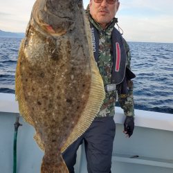 シーライオン 釣果