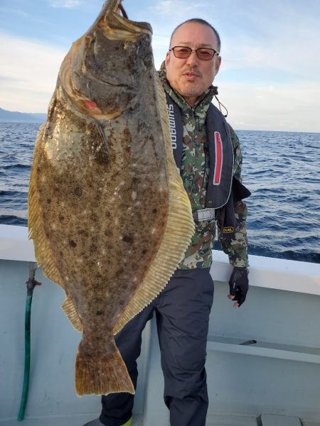 シーライオン 釣果