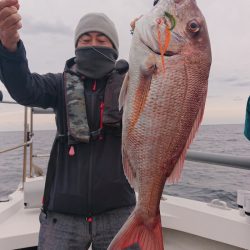 ARCADIAⅡ (アルカディアⅡ) 釣果