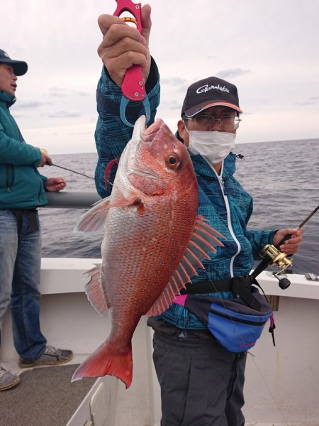 ARCADIAⅡ (アルカディアⅡ) 釣果