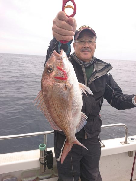 ARCADIAⅡ (アルカディアⅡ) 釣果