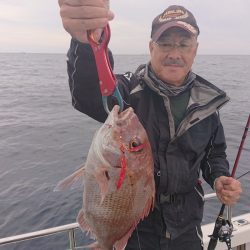 ARCADIAⅡ (アルカディアⅡ) 釣果