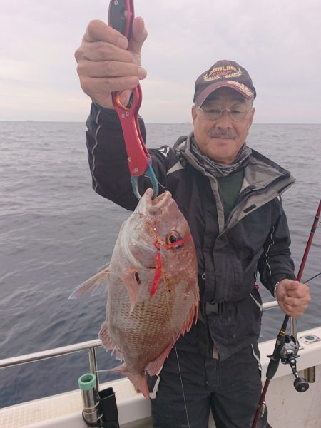 ARCADIAⅡ (アルカディアⅡ) 釣果