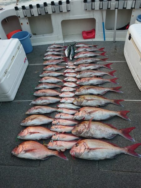 ARCADIAⅡ (アルカディアⅡ) 釣果