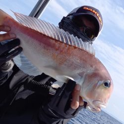 第二龍勢丸 釣果