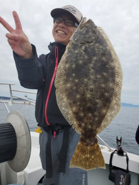 シーライオン 釣果