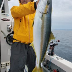 シーライオン 釣果