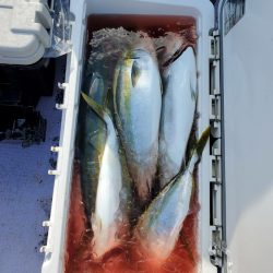 海龍丸（石川） 釣果