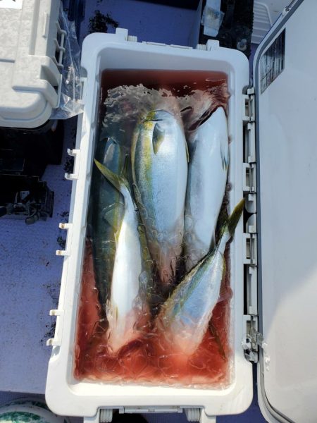 海龍丸（石川） 釣果