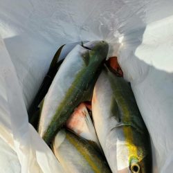 海龍丸（石川） 釣果