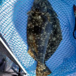 海龍丸（石川） 釣果